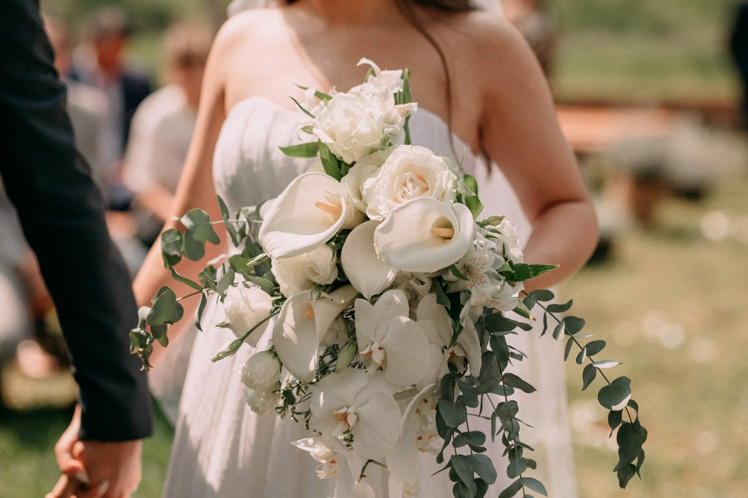 Foto de Dois N&oacute;s - Fotografia e Filmes 1